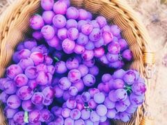 -武汉紫薇都市田园