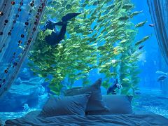 -南昌融创海世界