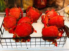 -味餐厅·海鲜·火锅·自助餐