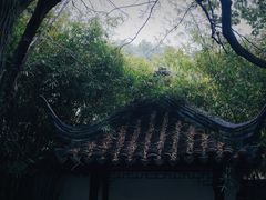 -西园戒幢律寺
