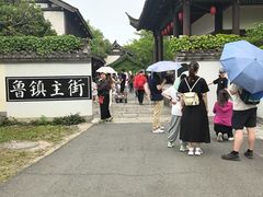 -鲁镇