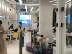 -怪兽屋·羊驼·猫咖·狗咖(俊华广场店)