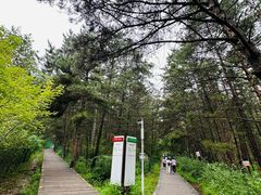 -帽儿山国家森林公园