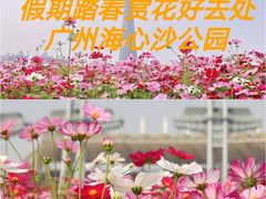 -海心沙亚运公园