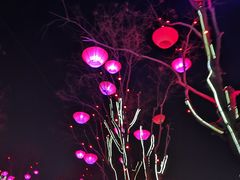 -大雁塔北广场音乐喷泉
