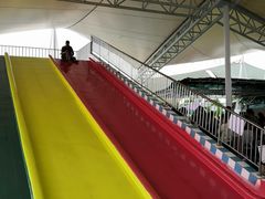 -百万葵园