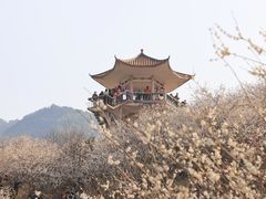 -广州市流溪河国家森林公园