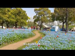 -上海滨江森林公园