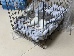 -联合动物医院(光谷诊疗中心)