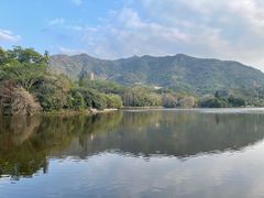 -深圳仙湖植物园