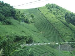 -四明山国家森林公园