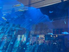 -迪拜水族馆及水下动物园