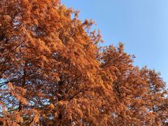 -上海园林（集团）有限公司总部办公楼