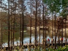 -重庆彩云湖湿地公园