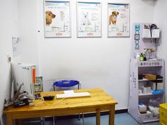 -顺强宠物诊所·狂犬免疫·夜诊·骨科(嘉定店)