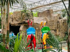 -南宫五洲植物乐园