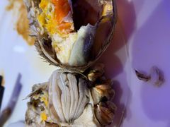 -半岛听涛蒸汽海鲜自助(K11店)