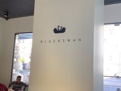 -BLACKSWAN黑天鹅(环球店)
