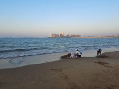 -西秀海滩公园