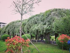 -西安外国语大学(长安校区)