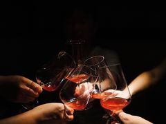 -毛辣果·酸(OHA复兴西路店)