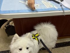 -美联众合动物医院·24h转诊中心