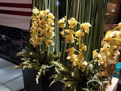 -乐潮汇时尚量贩式KTV(嘉业国际城购物中心店)