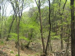 -北京上方山国家森林公园