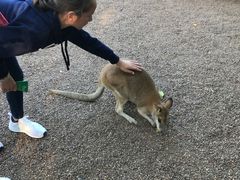-费瑟代尔野生动物园