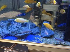 -黄鱼炙夜·烧烤·小龙虾(世茂缤谷店)