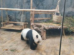 -深圳野生动物园