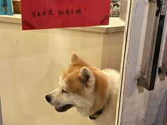 -餐酒吧Com-ing Bar(上海路店)