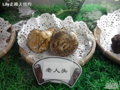 -金康园店