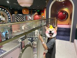 -meland亲子乐园•派对•研学(宁波华润万象城店)
