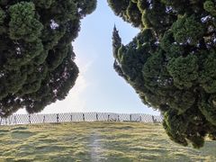 -小麦岛公园