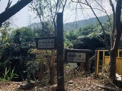 -梧桐山风景名胜区