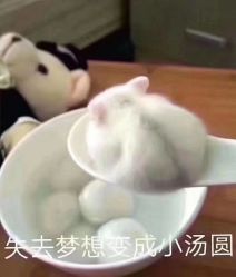 -花师傅