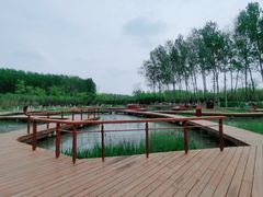 -东郊湿地公园