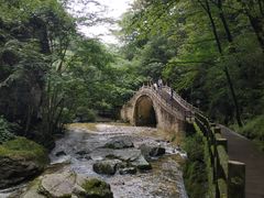 -牛背梁国家森林公园