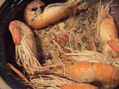 -新白鹿餐厅(百联中环店)