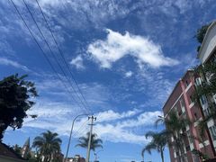 -杨三孃跷脚牛肉(美洲花园店)