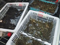 -毛哥小馆子(百井坊巷店)