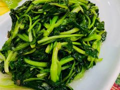 清炒鸡毛菜-钟记家菜(红专南路店)