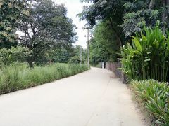 -大象粑粑造纸公园