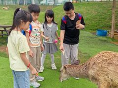 -盈香心动乐园