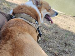 -皇粮浜湿地公园