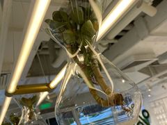 -% Arabica阿拉比卡咖啡(前滩太古里店)