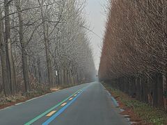 -黄海国家森林公园