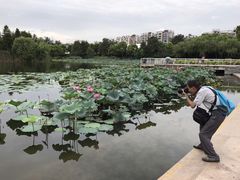 -新江湾城公园