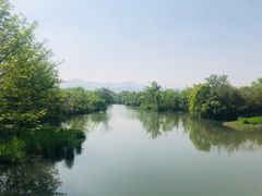 -西溪国家湿地公园